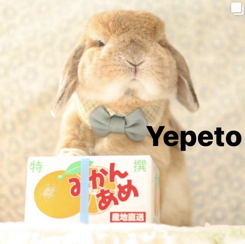 wolfertake's tweet image. Buenos días ☀️