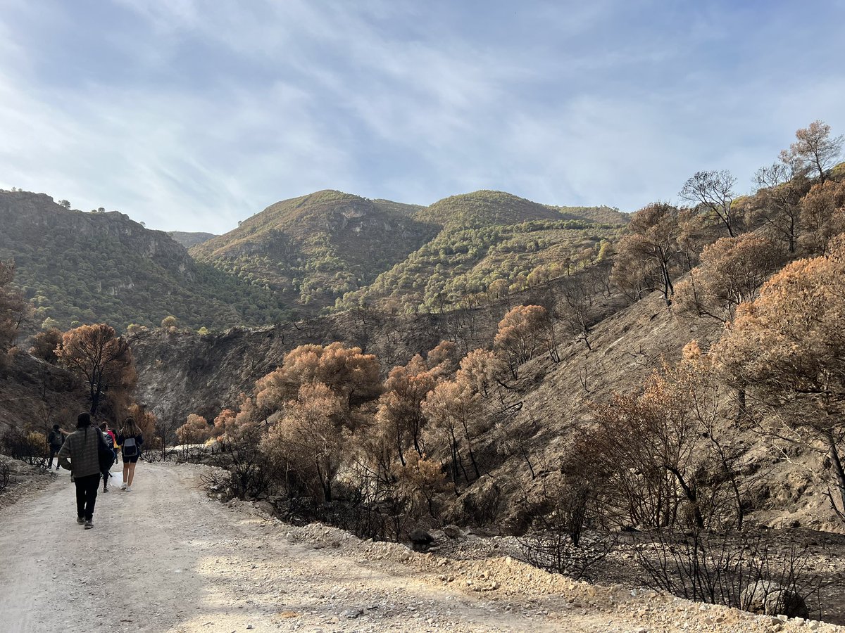ElisaOtra's tweet photo. Parada 1️⃣0️⃣: con Javier y Antonio de la @AndaluciaJunta reflexionamos sobre gestión forestal e #incendios. Nos cuentan las medidas de emergencia tras el #IFLosGuajares e ideas de restauración a medio y largo plazo. ¿Gestionamos el monte centrándonos demasiado en los incendios? https://t.co/2lMIoKnVFD