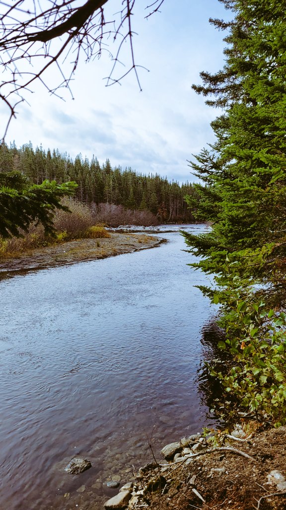 bcb490's tweet image. There's still a bit of color left to fall, this was a beautiful morning out hiking  on the best coast