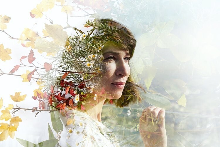 Max McClure | Photographer tweet media