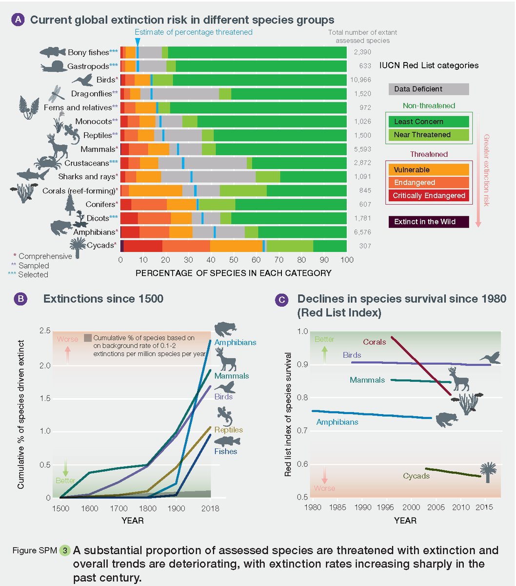 The current rate of species extinction is far higher than the average during the past 🔟 million years. Curbing #biodiversity loss is essential to ensure the health of people and our planet👫🌏 Learn more from @ipbes #GlobalAssessment: wrld.bg/8SA250L4UlT