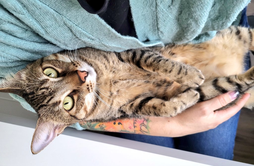 DasC_Team's tweet photo. Habt ein schönes Wochenende. Liebt euch und genießt die Zeit. 

Cash 💕 https://t.co/VyRLUFEjy2