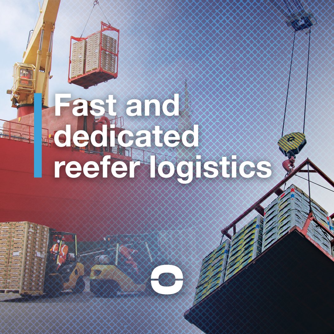 Coolcarriescl's tweet photo. Cool Carriers’ Main Trades :
•Deciduous produce, such as grapes and stonefruits, from Chile to USEC and USWC
•Deciduous produce, such as grapes, from South Africa to Northern Europe
•Citrus from South Africa to Japan
•Kiwifruit from New Zealand to the Western Mediterranean https://t.co/v5d9TMin1q