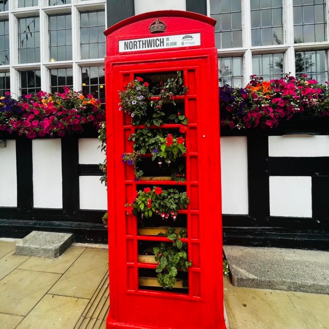Go_CheshireWest's tweet photo. Congratulations to Northwich for achieving gold at the RHS North West in Bloom, joint Best in Category for Large Town, special recognition for the Best Art in the Community, and a Level 5 Outstanding for Cheshire Food Hub’s community garden. For more 👉   https://t.co/0lcQmTe5ZB https://t.co/xvm0GPdM8G