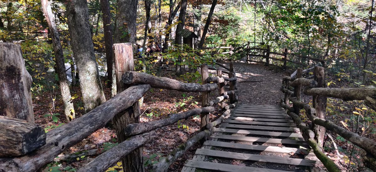 edlahmdotcom's tweet photo. Bushkill Falls, PA. Best time of the year to go and see the leaves! https://t.co/ZsljyWnWgY