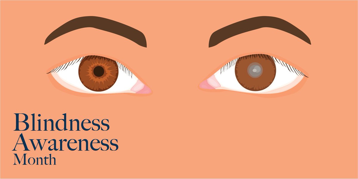 Every day we have the potential to encounter someone who experiences blindness or another visual impairment. This can include students in your class. These 6 simple steps can help improve your written course content. tinyurl.com/2hzjpzb8