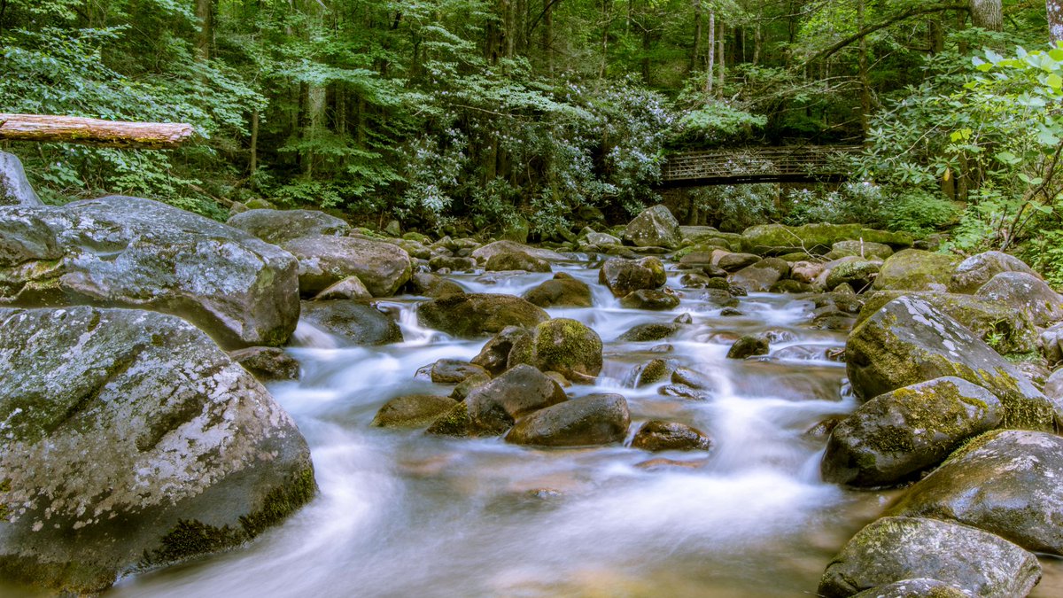 Notre appel d’études de cas sur la #gestion de l’eau douce par les #Autochtones sera bientôt clos Soumettez vos études de cas d’ici le 27/10 pour participer à notre discussion sous le thème: Application des connaissances autochtones en gestion de l’eau 👉bit.ly/3S3R8rh