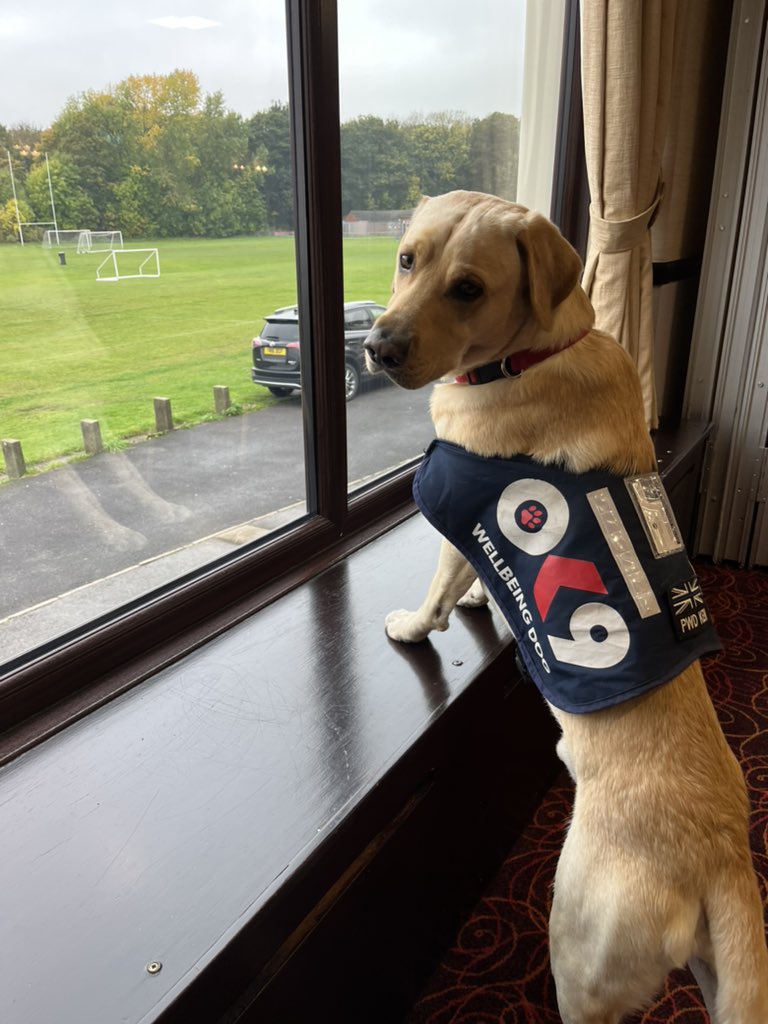 I spent today supporting attendees at the SYP Child Matters training with colleagues from Police, Health and Education <a href="/syptweet/">South Yorkshire Police</a> <a href="/OscarKiloUK/">Oscar Kilo</a> <a href="/OscarKiloNine/">OscarKilo9</a>