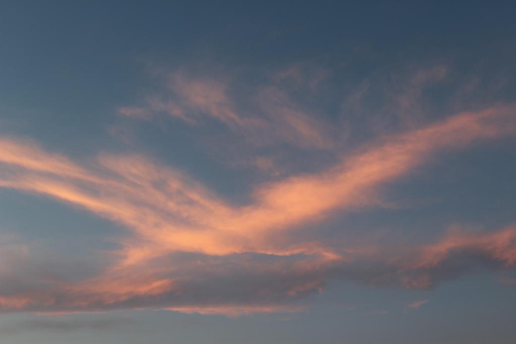 alisc_pic's tweet photo. I can see a seagull ☁ 
#photography #skyphotography 
#fotografia #cielo https://t.co/ktMjANgQeE