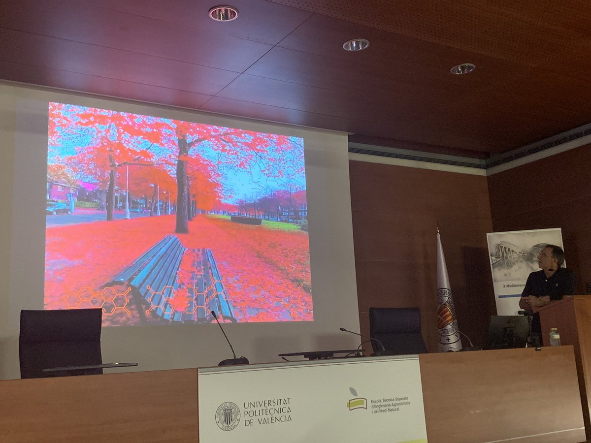 A_Sastre_Santos's tweet photo. Very nice talk of Fernando Fernández @IB_UMH about #perylenediimides @XReqomed https://t.co/5aJ1TrkfRp