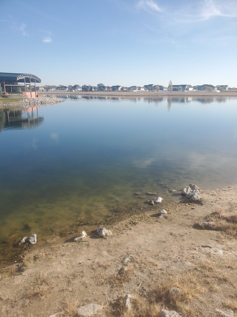 When preparing for state I always take my kids to the water. It is their time to reflect and prepare.
Great day for STATE
