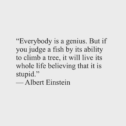 1MikeyOB's tweet photo. Everybody is a genius.
But if you judge aΒ fish by its ability to climb a tree, it will live its whole life believing it is stupid
-Albert Einstein π€― #1MikeyOB #BostonFoodFun https://t.co/XB9KL7Il1z