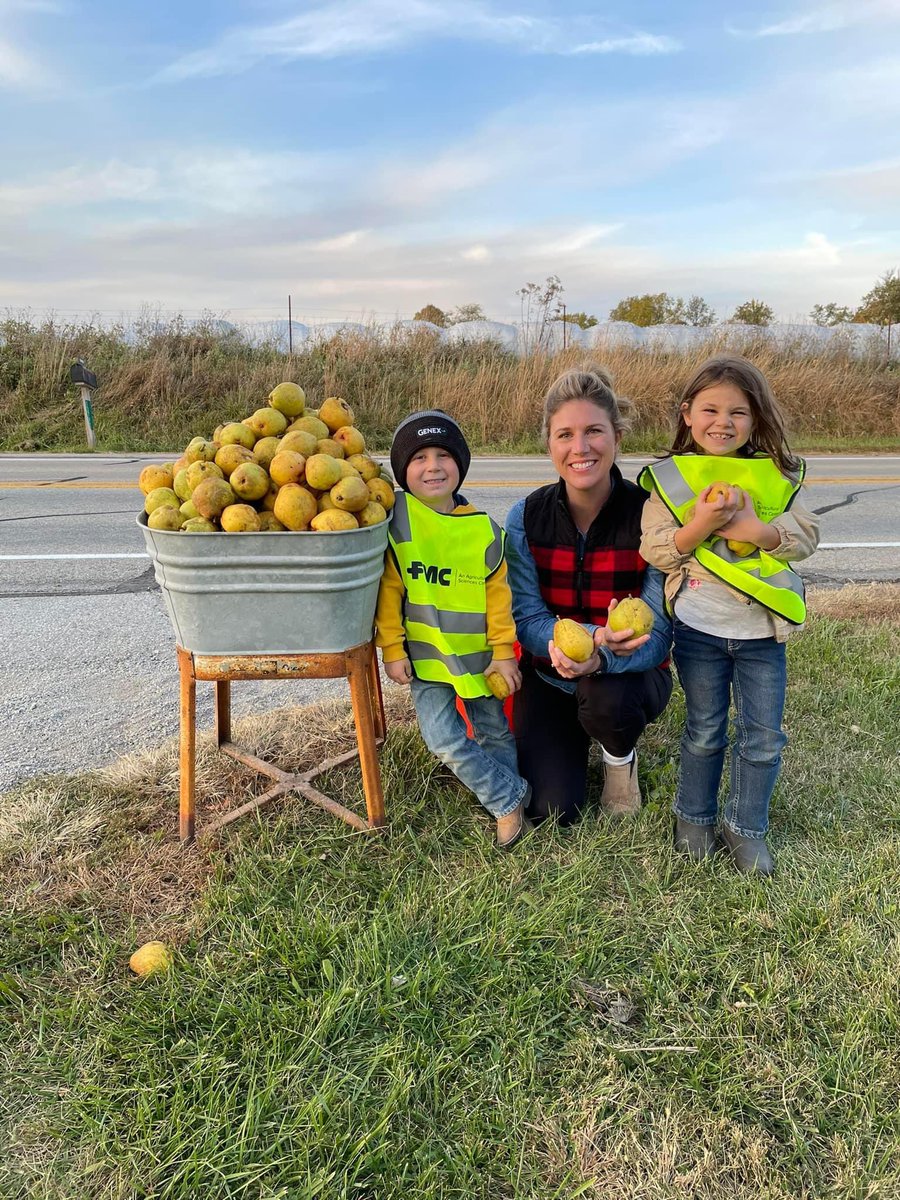 JeansBoots_Blog's tweet photo. Thanks to the safety vests provided by @FMCAgUS our kids can help with some non-traditional work on our farm: picking pears 🍐 https://t.co/bPUCthBbGH