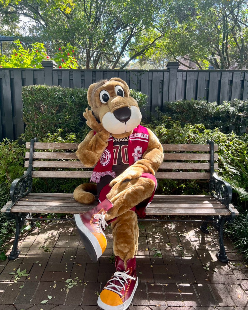 CofCAdmissions's tweet photo. Autumn leaves falling down like pieces into place...Clyde is the ultimate #swifite rocking the red scarf today🧣
Drop your favorite song from @taylorswift13 new album in the comments!
#collegeofcharleston #charleston #chs #explorechs #southcarolina https://t.co/8ZA1ksd93q