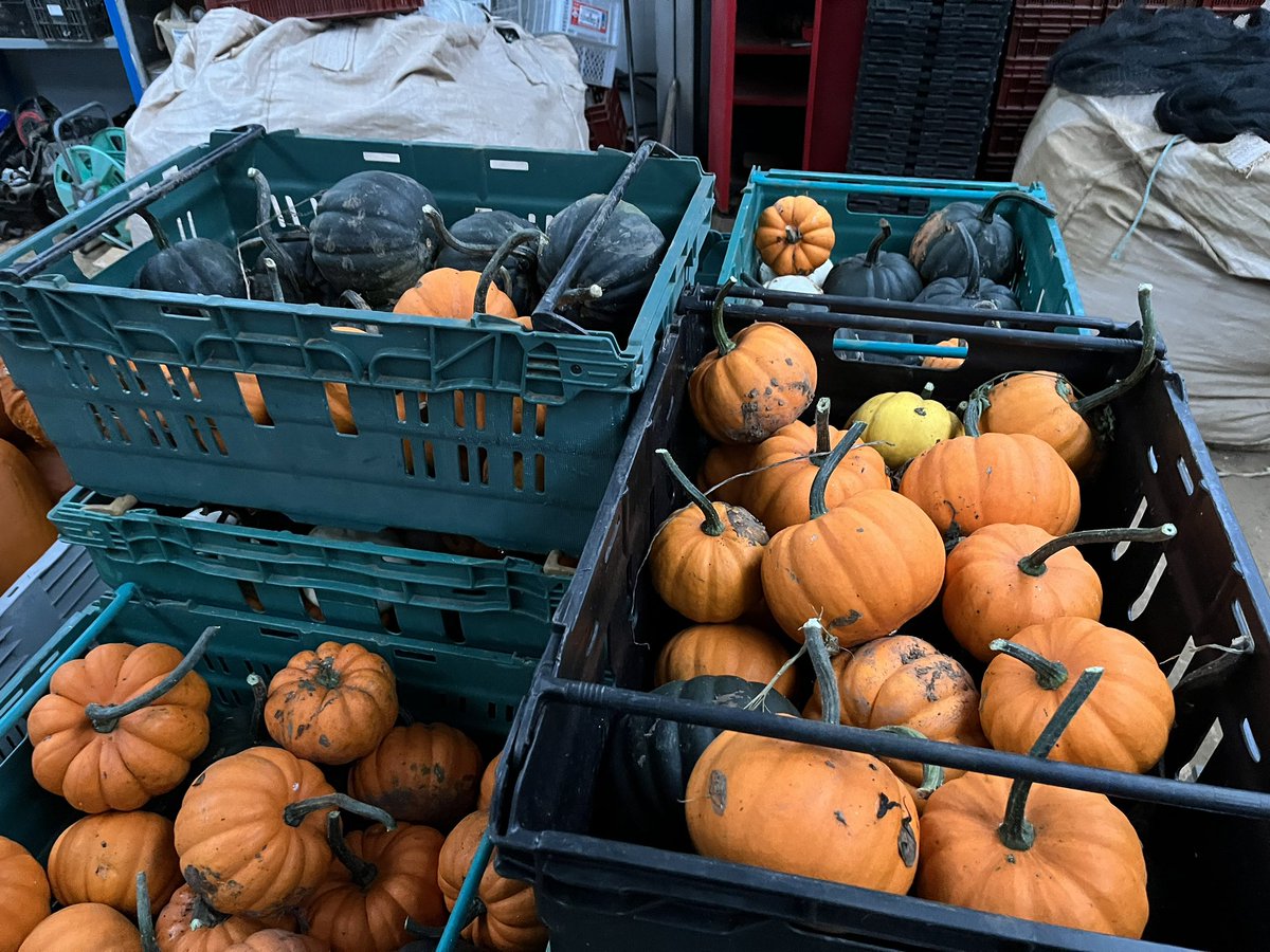 Godshill Orchards tweet media