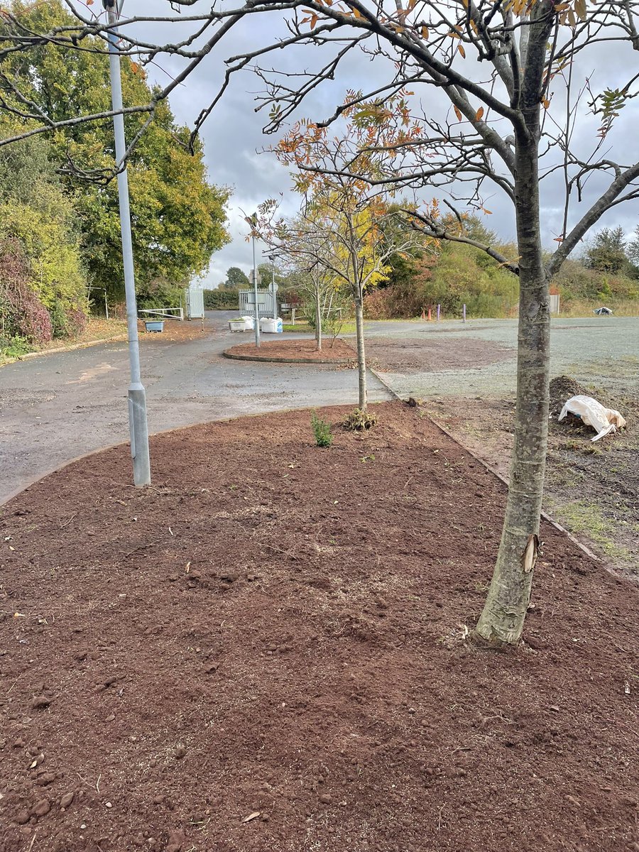 Work on going <a href="/WattsChasePark/">Information Chase Park</a>