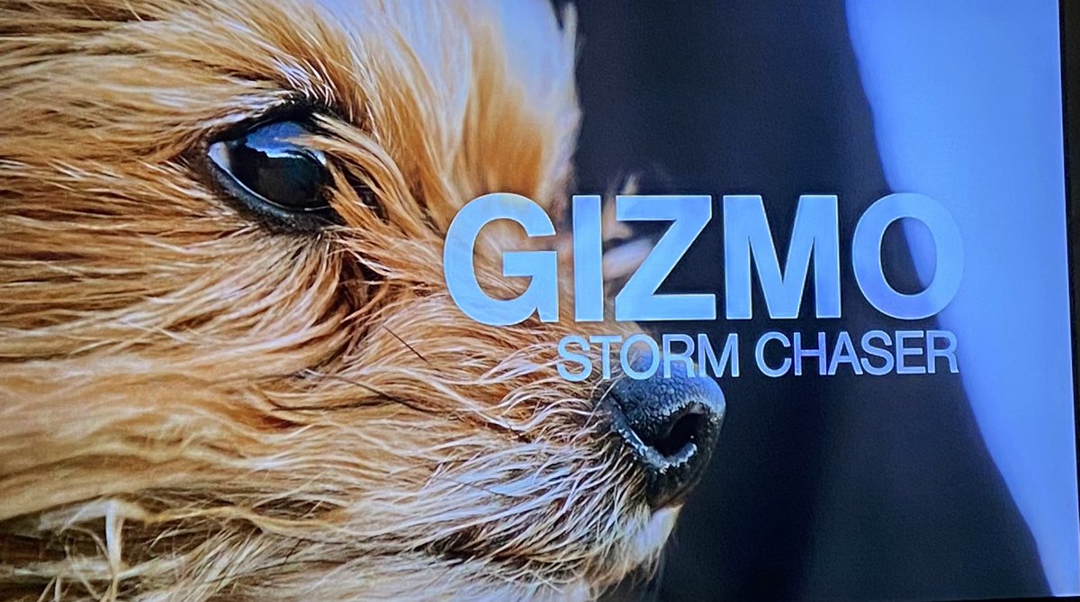 Watching a stormchasing show and they just intro’d a new character