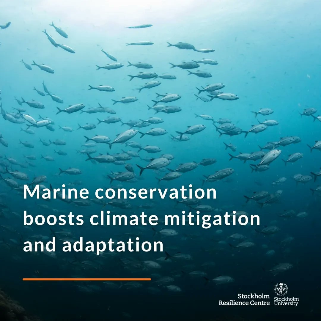 A major new analysis published in One Earth shows that marine protected areas can significantly contribute to climate change mitigation and adaptation. Explore the findings of the study: buff.ly/3gnRjjY @OneEarth_CP @BlasiakRobert