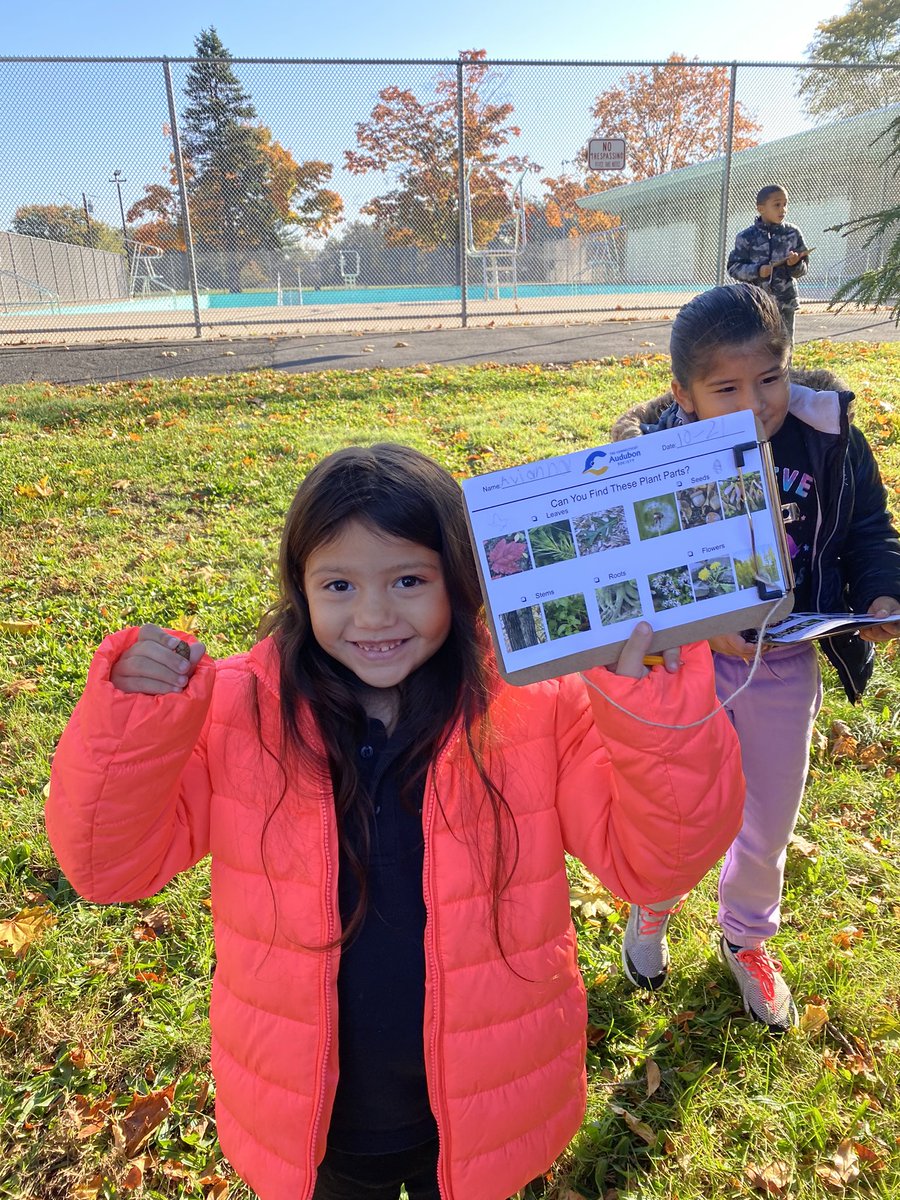 NorrisPandas's tweet photo. So excited to have @CTAudubon joining our 1st graders @NorrisPandas so that we can have a hands-on experience learning about plants! Thank you for joining us today! 🐼❤️🍁🌿🍂 https://t.co/Mvfrsl1hQ1