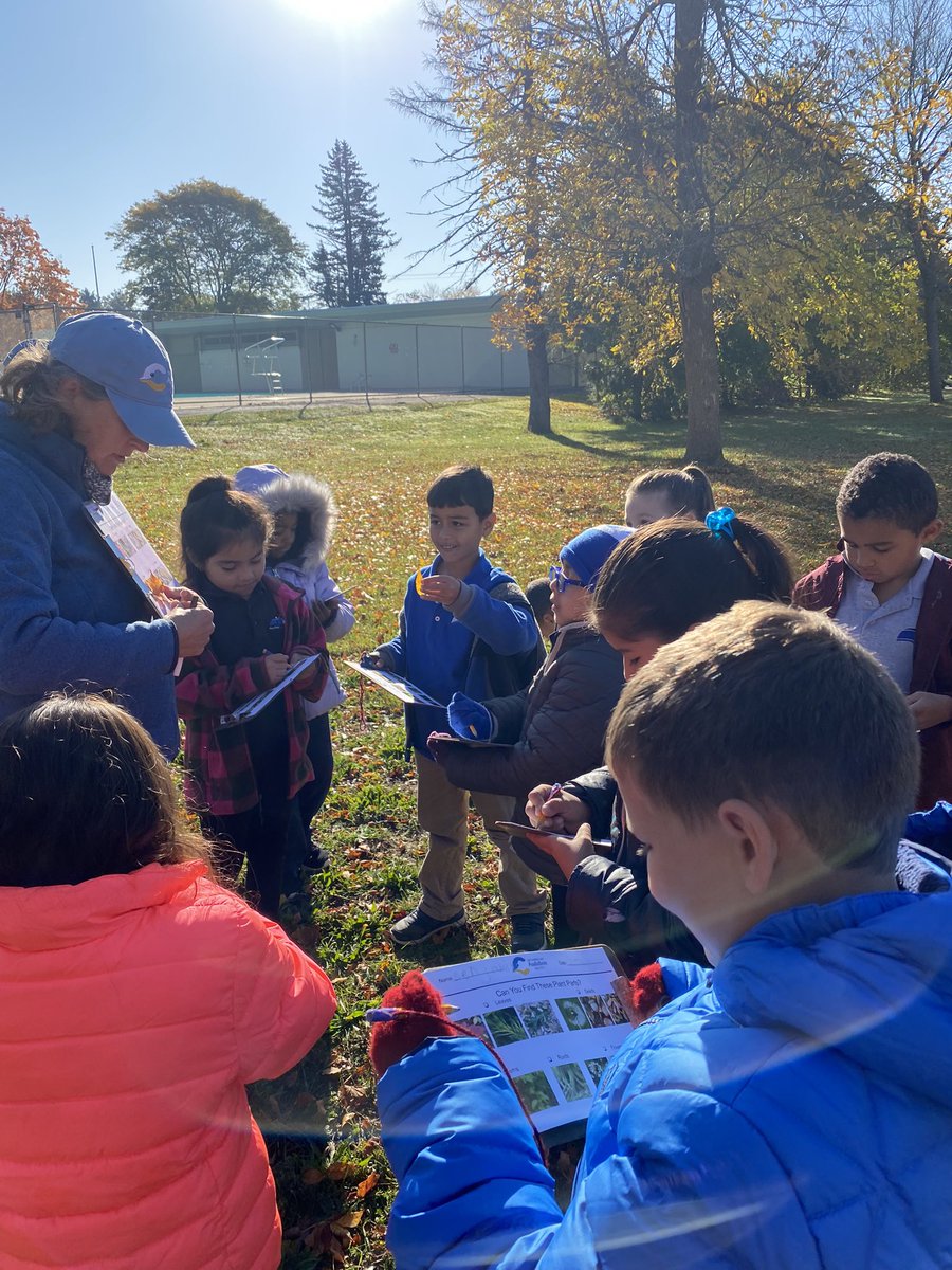 NorrisPandas's tweet photo. So excited to have @CTAudubon joining our 1st graders @NorrisPandas so that we can have a hands-on experience learning about plants! Thank you for joining us today! 🐼❤️🍁🌿🍂 https://t.co/Mvfrsl1hQ1