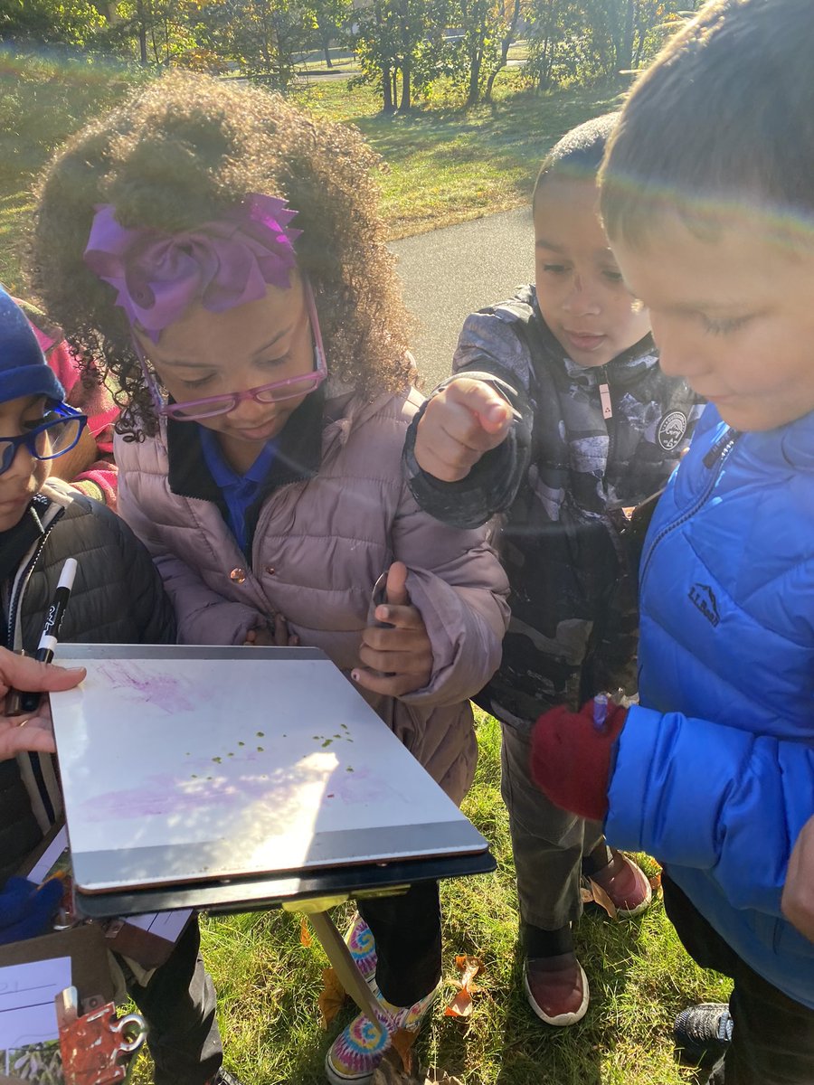 NorrisPandas's tweet photo. So excited to have @CTAudubon joining our 1st graders @NorrisPandas so that we can have a hands-on experience learning about plants! Thank you for joining us today! 🐼❤️🍁🌿🍂 https://t.co/Mvfrsl1hQ1