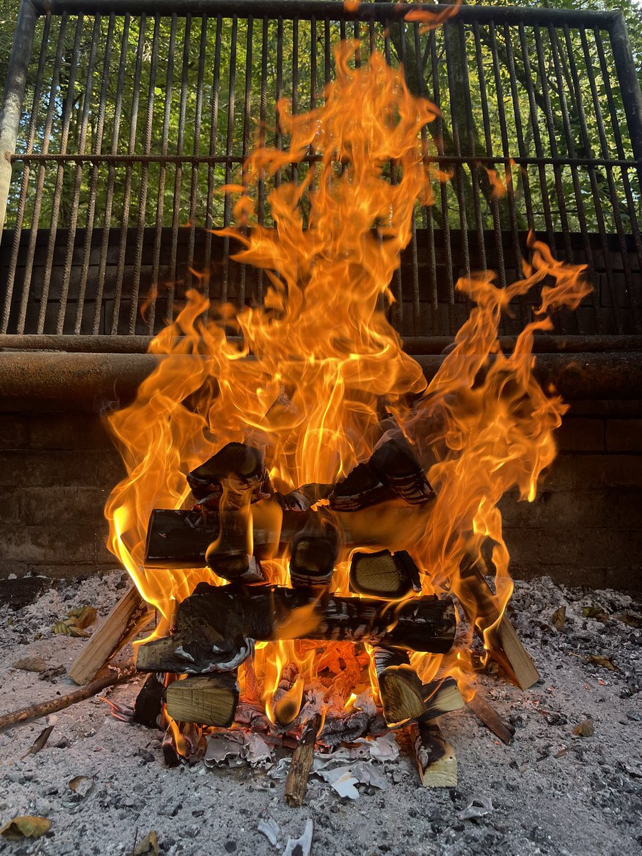 Snax85one's tweet photo. i love to build fires and barbecue with the family 🔥

#NFTCommuntiy #nftart #nfts #fire #nftartist https://t.co/pfPvPkRe99