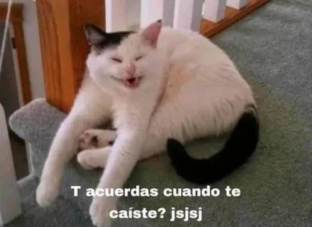 Guarromantico_'s tweet photo. *Mi amix que se cayó hace diez años respira*

Yo: https://t.co/wL8pF4wPLP