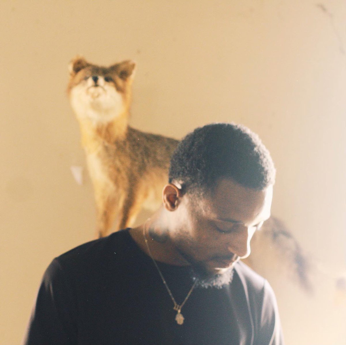 ReignCloudMusic's tweet photo. Introducing: YOTE 🐕 

Our artist formerly known as Laxx P reintroduces himself. Get ready for new heat from YOTE coming soon⏳ https://t.co/14efoEbSCH
