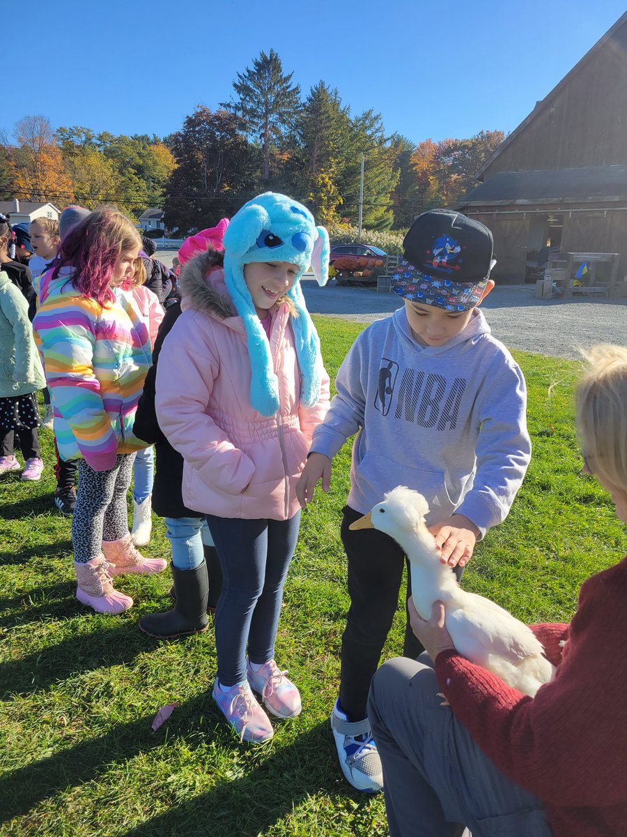 ElizabethGroll1's tweet photo. What a beautiful day to join 1st and 2nd grades on a field trip! 🍂🌞 @GreenIslandUFSD https://t.co/vbHaATdzXR