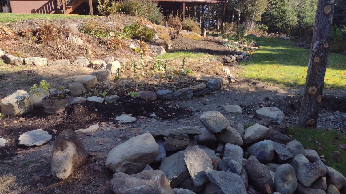 chrishallweaver's tweet photo. @SlingbladeWilly Yes it will. I was just going to turn it on its side and bury again but it was a pretty rock.  I have more rocks than soil so when I'm making a new garden bed I end up with a pile of rocks. https://t.co/hNzuNjf9dv