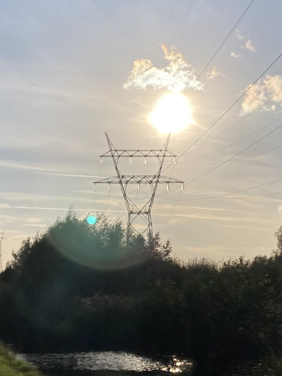 AlexanderBPR's tweet image. Instant solar power! @ Krimpenerhout