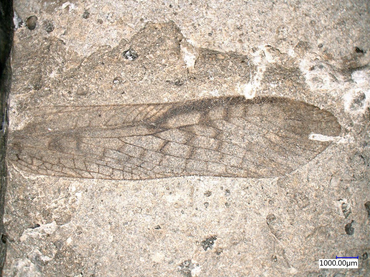 Ben Thuy & Lea Numberger tweet media