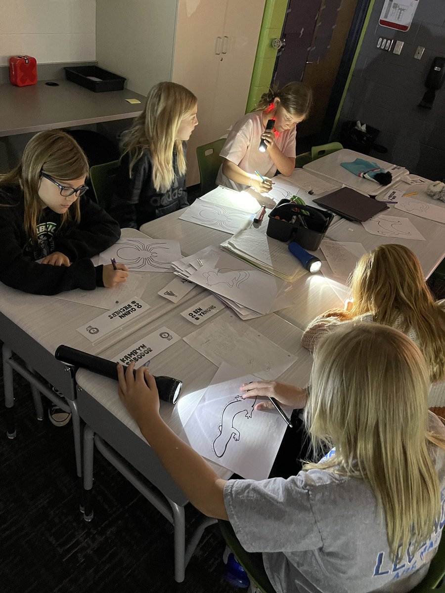 MrsHalesClass's tweet photo. Flashlight Fun Friday is in full swing with the #HaleHerd. We are reading under the stars, writing fall animal poetry, and finding parts of speech in fall articles. #AllIn157c #WeAreChelsea https://t.co/nEF3rCefkQ