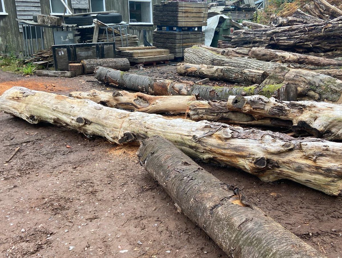 WenTimberCentre's tweet photo. Mike has been milling some interesting logs this week, with some gorgeous grain. These Yew and Cherry boards are going to be beautiful looking boards when they are dry. Watch this space π π³π#sawmill #woodmizersawmill #yew #cherry #beautifulgrain #localtimber #sustainabletimber https://t.co/07BIBNdGIv