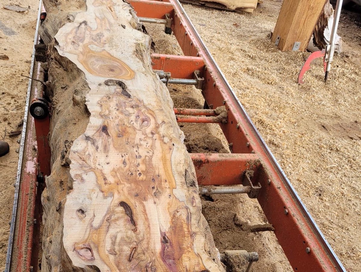 WenTimberCentre's tweet photo. Mike has been milling some interesting logs this week, with some gorgeous grain. These Yew and Cherry boards are going to be beautiful looking boards when they are dry. Watch this space π π³π#sawmill #woodmizersawmill #yew #cherry #beautifulgrain #localtimber #sustainabletimber https://t.co/07BIBNdGIv