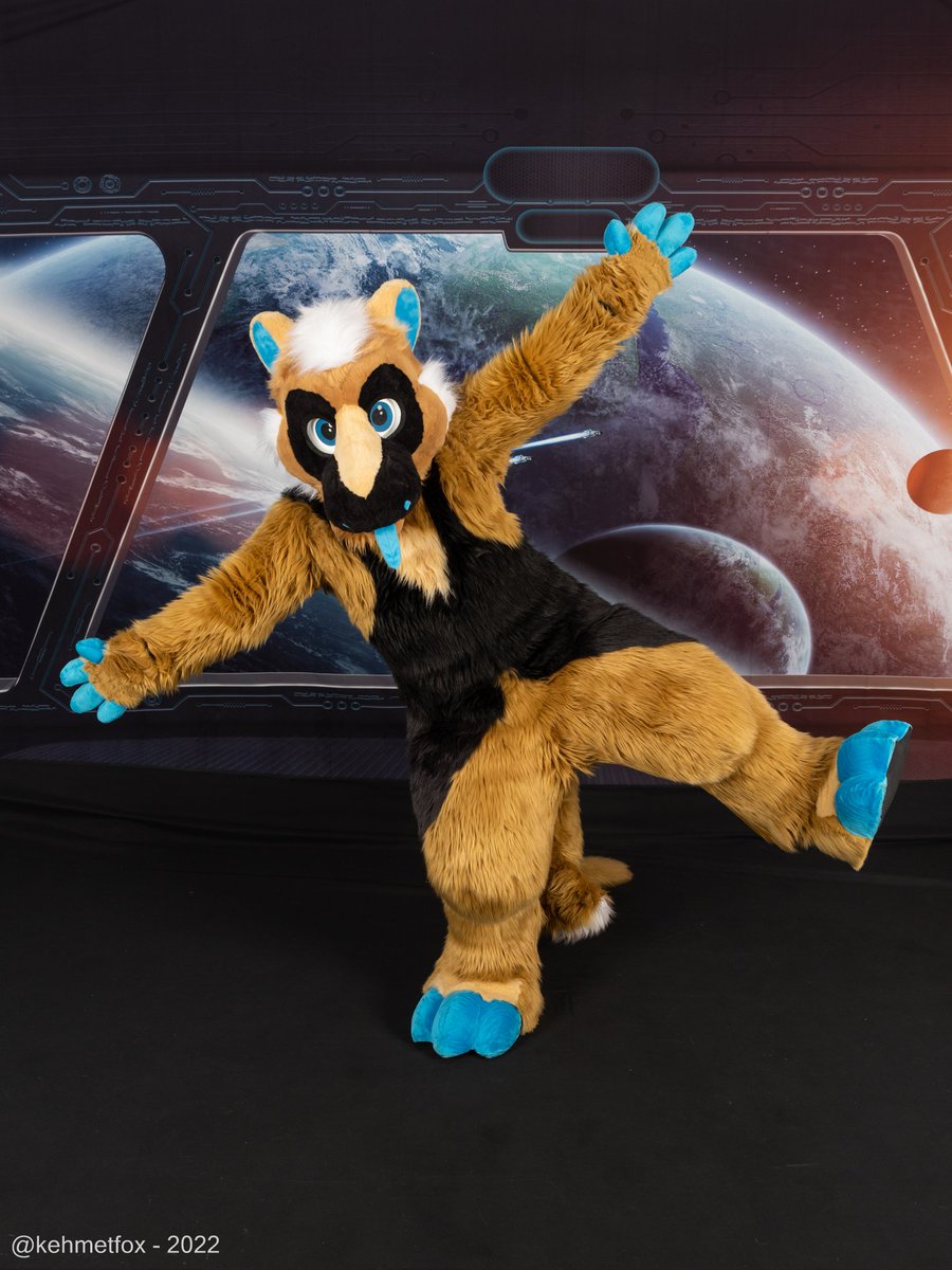 FluffySharkTM's tweet photo. Transmitting photos from the @FurryMigration space station this #FursuitFriday 🛰️☄️

📸 @kehmetfox
🦈 @CreatureHaven (head) &amp; Myself https://t.co/u2ZbXX8ErK