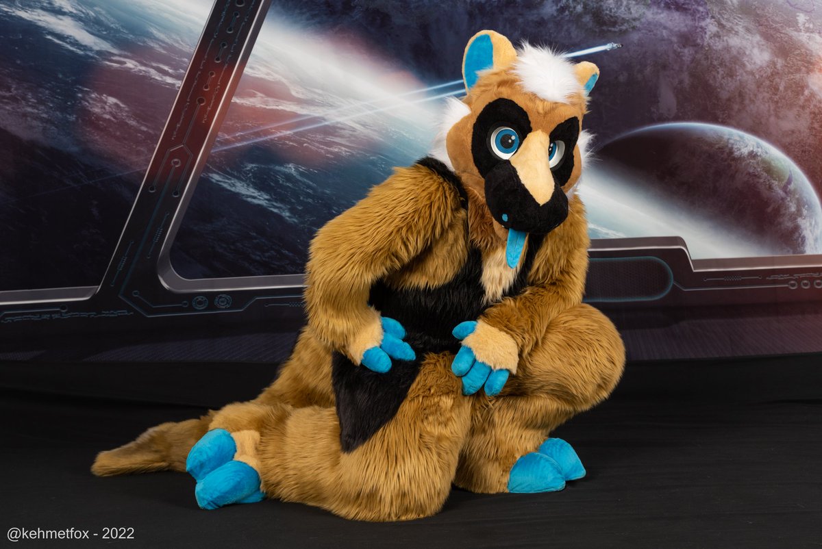 FluffySharkTM's tweet photo. Transmitting photos from the @FurryMigration space station this #FursuitFriday 🛰️☄️

📸 @kehmetfox
🦈 @CreatureHaven (head) &amp; Myself https://t.co/u2ZbXX8ErK