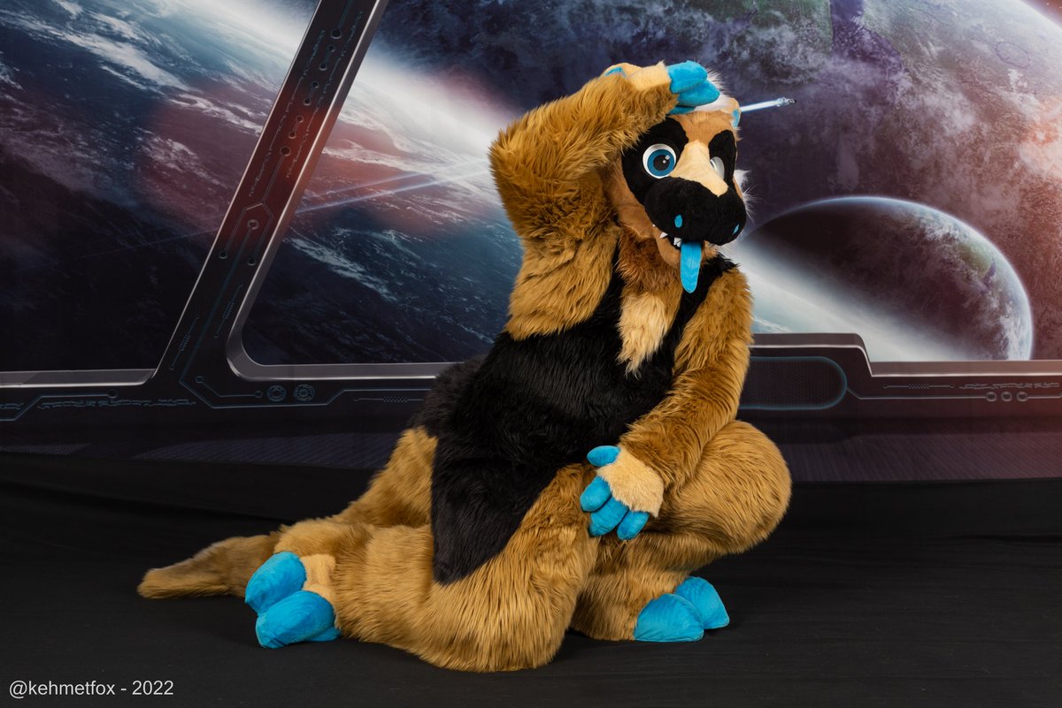 FluffySharkTM's tweet photo. Transmitting photos from the @FurryMigration space station this #FursuitFriday 🛰️☄️

📸 @kehmetfox
🦈 @CreatureHaven (head) &amp; Myself https://t.co/u2ZbXX8ErK