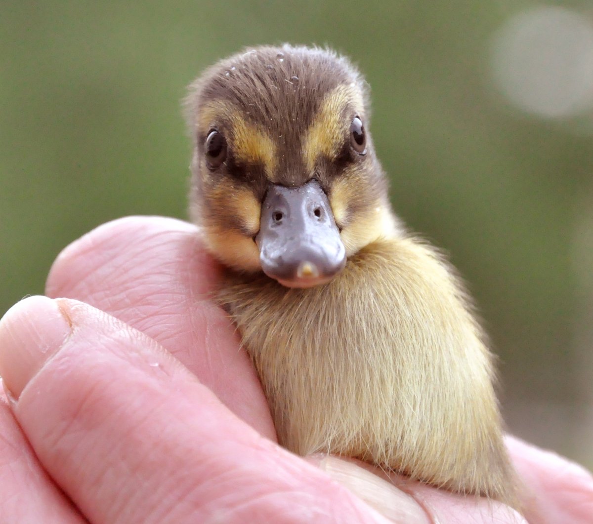 THX 4 FOLL RT Like👉shop.kusera.de👈<a href="/atticesoterica/">Attic Esoterica</a> <a href="/CartersCollecta/">CartersCollectablesUK: AntiquesAreGreen</a> <a href="/yoga_and_more/">Jörg Rainer</a>  <a href="/BeatriceLacy/">Beatrice Lacy</a> <a href="/TopBananaMall/">Top Banana Antiques Mall Tetbury 1, Gl 88 DS UK</a> <a href="/Hristov_D/">Danail Hristov</a> <a href="/wiergeezy/">Paul Edward Wiersgalla</a> <a href="/PrezesPan/">Pan Prezes</a> <a href="/Kleidergroessen/">@kleidergroessen.bsky.social 👗👖👔👠👟📏</a> <a href="/FWWinterberg/">Franz W.Winterberg</a> <a href="/Zaubermaus57/">Reginas Tierrettung Preveza Griechenland 🐱</a> <a href="/ThalaBeratung/">Sabine Berg - Buch: Wege zum Erfolg Vol. 3</a> <a href="/perushop24/">perushop_24</a> <a href="/guckma60/">@guckma60.bsky.social guckma60 © TM</a> <a href="/MartinaRosemann/">𝙈𝙖𝙧𝙩𝙞𝙣𝙖 𝙍𝙤𝙨𝙚𝙢𝙖𝙣𝙣 🌹😎🇩🇪</a> <a href="/ursobuursula1/">❣️Ursula❣️</a> 🐻😃🍀🌞☮️