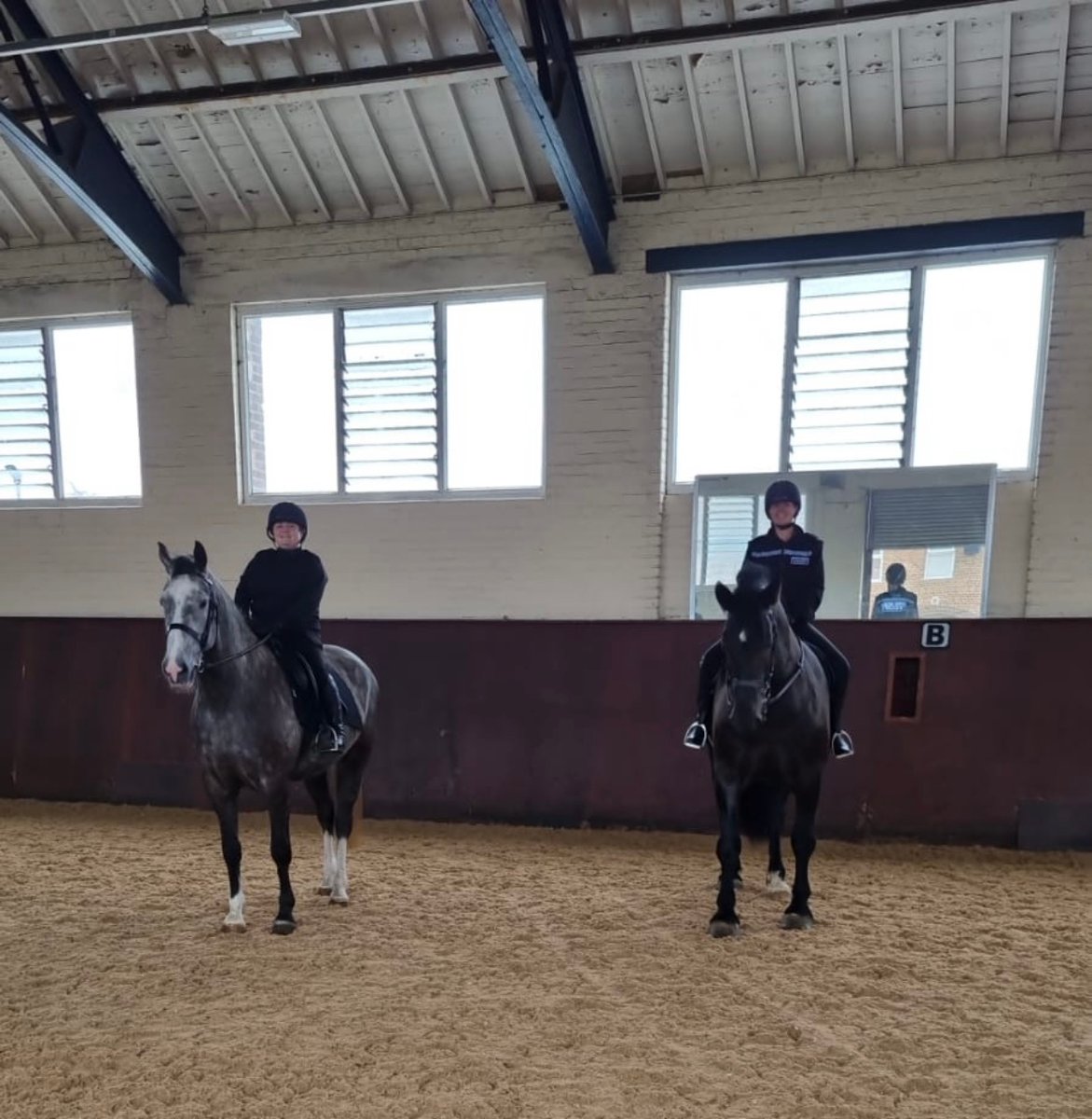 MerPolMounted's tweet photo. I know I was a bit mean earlier making you all pick, so here is a little sneaky peek of our 2 lovely new horses! Keep your eyes on our page over the weekend for more information on them!
#StandTall #NewMerPolPH #OneOfThemIsMyNewAllocatedHorse #NewRecuits #NewBoys https://t.co/zJ7tj7XeeL