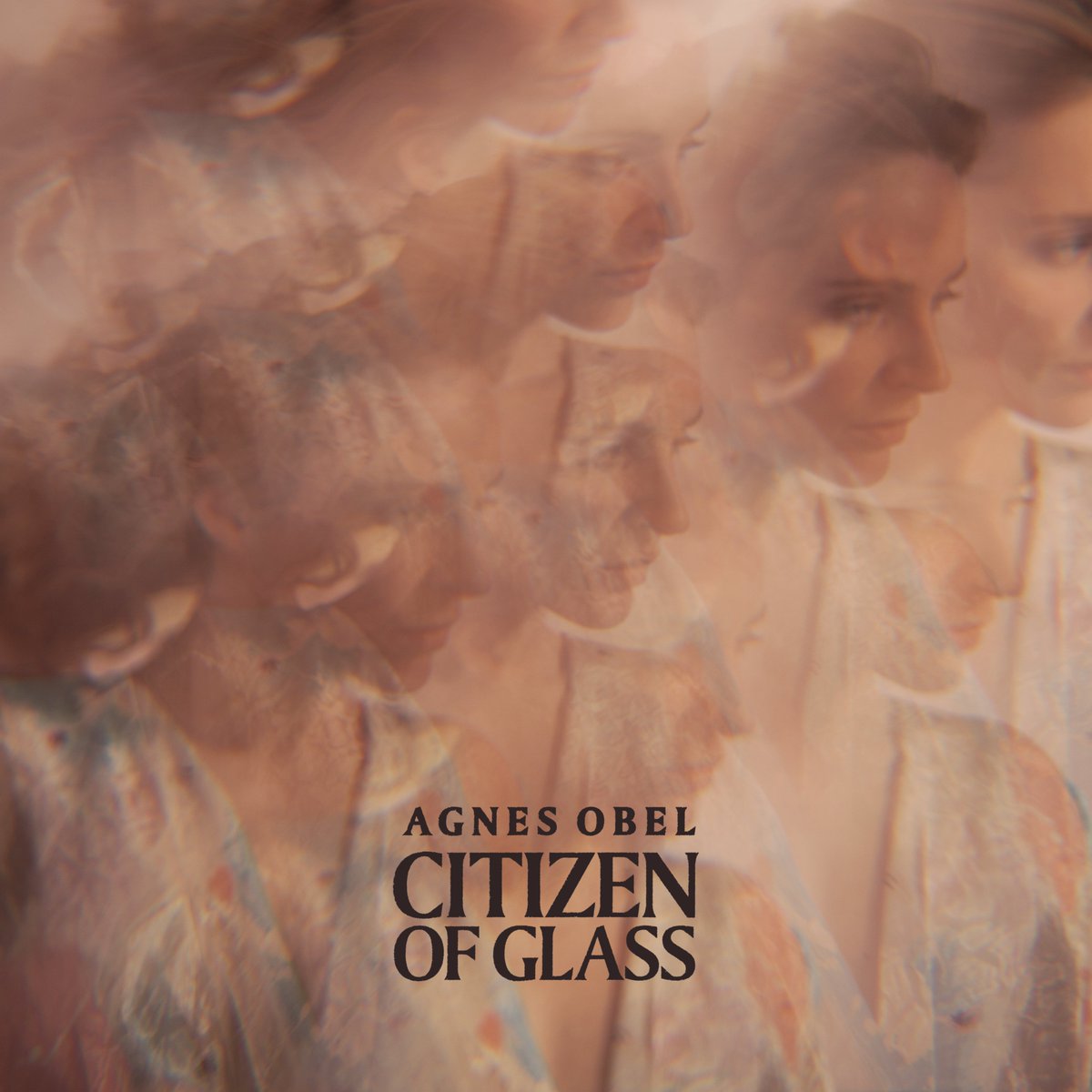 Citizen of Glass... released on this day 6 years ago ✨

agnesobel.ffm.to/citizenofglass…