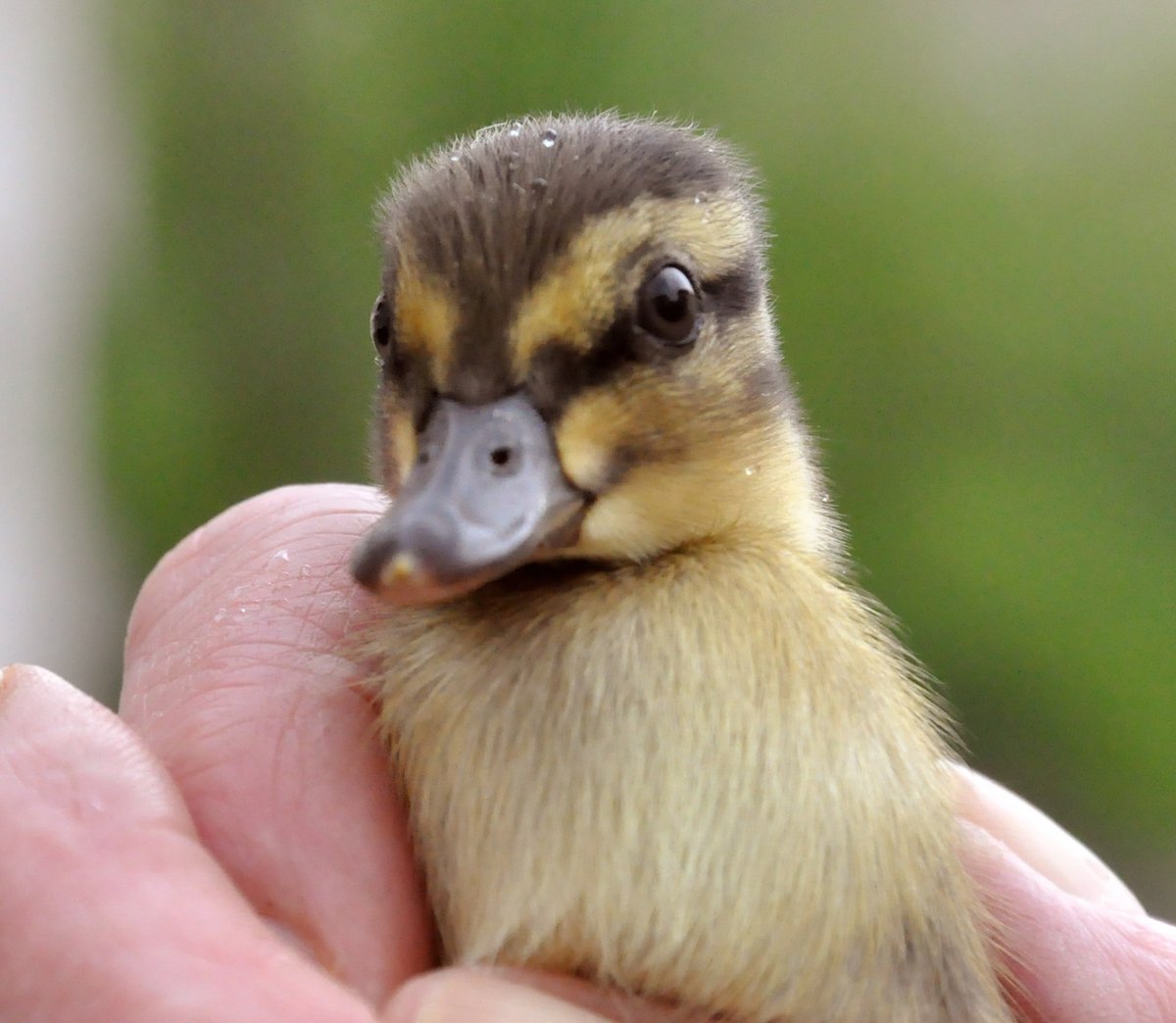 THX 4 FOLL RT Like👉shop.kusera.de👈<a href="/meisshaily/">Shailendra Kumar</a> @bklynmike3 <a href="/atticesoterica/">Attic Esoterica</a> @SilkDharmaArt <a href="/AMlzner/">Sternschnuppe</a> @waffles4sharks <a href="/bfosterbfa/">Betsy A Foster</a> <a href="/Linyuling99999/">Lin yu ling</a> <a href="/guckma60/">@guckma60.bsky.social guckma60 © TM</a> <a href="/MartinaRosemann/">𝙈𝙖𝙧𝙩𝙞𝙣𝙖 𝙍𝙤𝙨𝙚𝙢𝙖𝙣𝙣 🌹😎🇩🇪</a> <a href="/CartersCollecta/">CartersCollectablesUK: AntiquesAreGreen</a>  <a href="/BarbaraReichard/">Barbara Reichard </a> <a href="/mirtaimperatori/">Mirta Imperatori</a> <a href="/atticesoterica/">Attic Esoterica</a> <a href="/sdwoodford/">simon 🇨🇦🇬🇧🏴󠁧󠁢󠁥󠁮󠁧󠁿</a> <a href="/BySupply1/">BySupply</a>🐻😃🍀🌞☮️