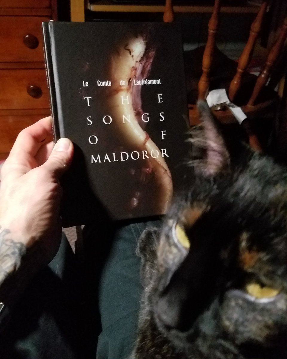 MisterB_gone's tweet photo. #infinitylandpress giving me yet another reason to love October(s). https://t.co/kDVePHPMFN