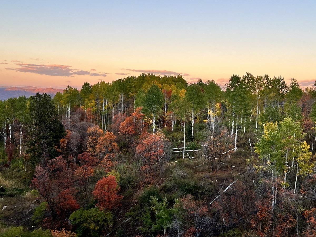 alarm_peak's tweet photo. It’s fall in the intermountain west and there has never been a better time for a home automation system from Peak Alarm Company. Call us today at 800.444.7231 to learn how Peak Alarm can leverage the latest technology to control your security, fire and home automation! https://t.co/anwKDOddAF