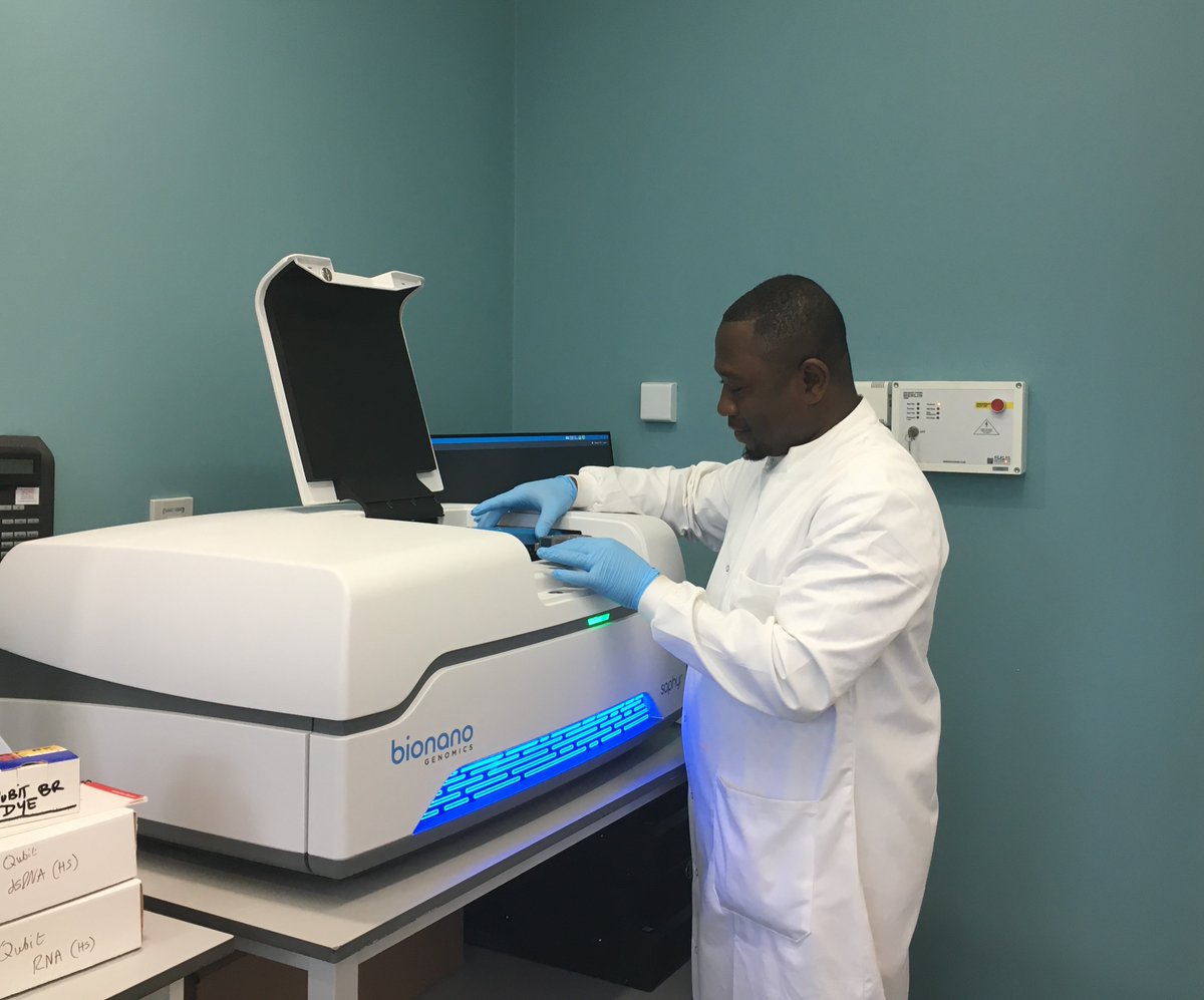 LNedevska's tweet photo. Super excited to announce that our #OGM project to detect structural variation in #developmental #eye conditions is underway! Thanks to @bionanogenomics for the training and to @ssmerepa and colleagues for the  hard-work!!! @hls_research @oxford_brookes https://t.co/eZKhOvb84T