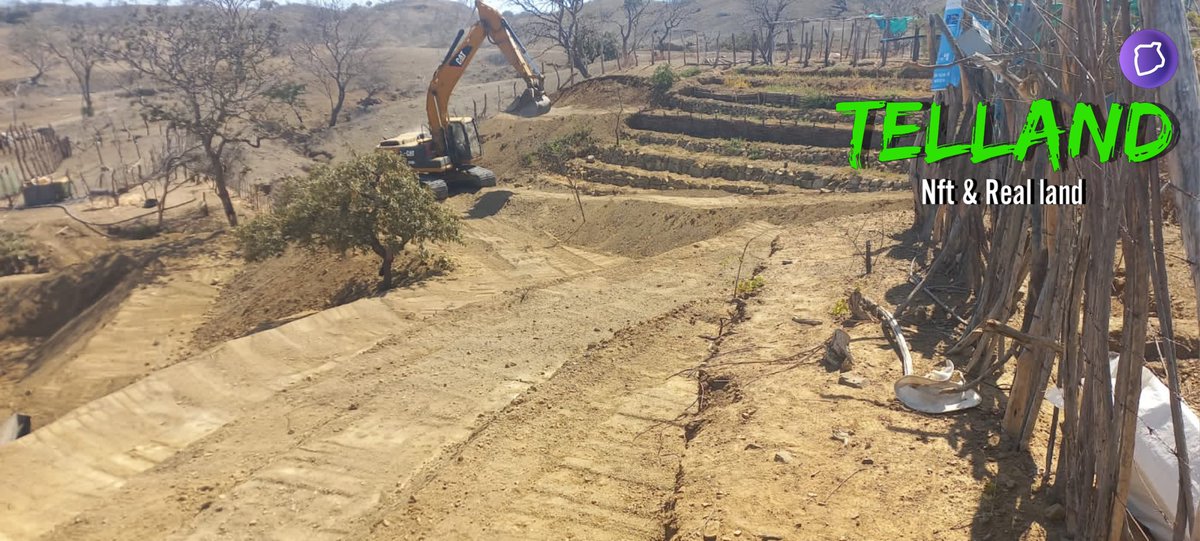 The dollar is getting stronger these days. Get rewards in USD by purchasing Telland NFTs. #investment #nft #TelosEVM <a href="/telland_1/">Telland NFT</a>