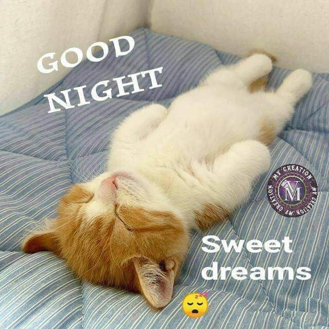 itsvaishnavi04's tweet photo. राहों में उनसे मुलाकात हो गई
बाकी कल बताऊंगी बहुत रात हो 😁😁गई
#_Good night 😁😁😁 https://t.co/YI5fhrSq69