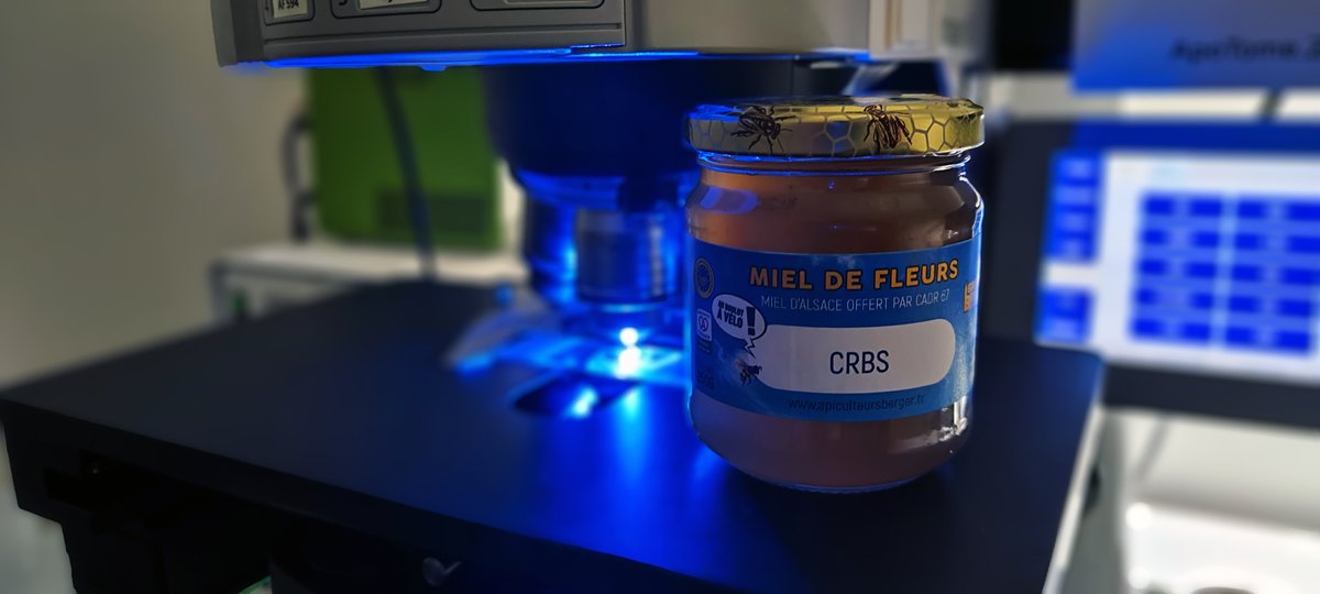 PascalKessler4's tweet photo. @CRBS_Strasbourg @Auboulotavelo1 @Alsace @CADR67 @EDarcq @Felicie_Lrc @sjg_neuro @MateiBolborea @ldupuis_Inserm @NathChristophe @letellierbp @JulieBUISSON6 Merci ! On a rechargé les batteries de PIC-STRA 😄😄👌👌 https://t.co/mtpfkHqXkh