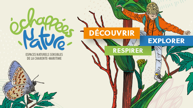 departement17's tweet photo. #IDsorties17🍃🍂🦇Anims #Halloween, balades nature, atelier bricolage, sorties botaniques.. Pdt les #vacances d'automne, les sites des #EchappéesNature sont idéaux pr prendre l'air et retrouver vos marques avec la faune & la flore. Faites votre choix !
👉https://t.co/ePymdEBAg5 https://t.co/4SlkDhb9Ud