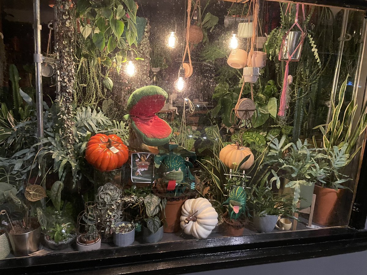 PTAOS_Youth's tweet photo. “Excuse me, I couldn’t help noticing that strange and interesting plant. What is it ?”

“It’s an Audrey Two”

Whilst out and about on “skid row”, why not visit The Flower Box, Port Talbot and check out their wonderful array of flowers, plants &amp; gifts https://t.co/sRS9ufe7q3